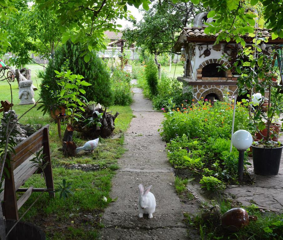 The Old House Guest House Obedinenie Номер фото